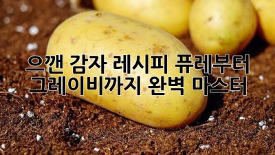 으깬 감자 레시피: 퓨레부터 그레이비까지 완벽 마스터!